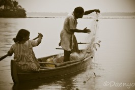 Backwater, Kerala