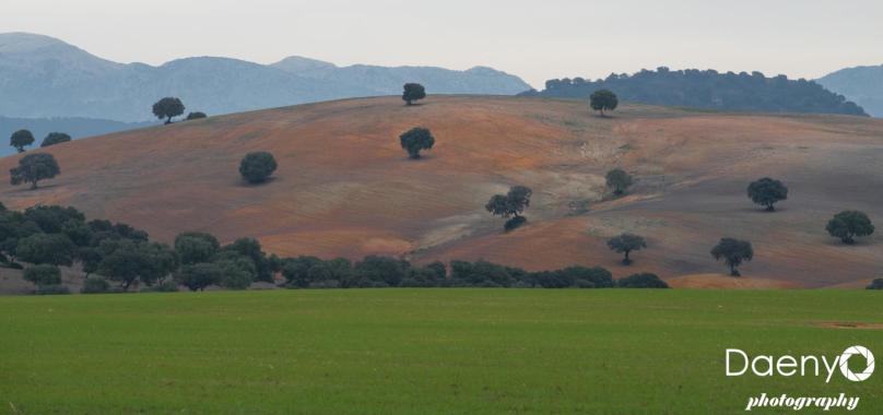 Landscape, Andalucía