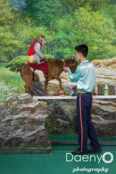 Zoo, Pyongyang